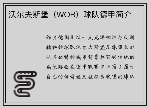 沃尔夫斯堡（WOB）球队德甲简介